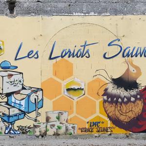 les loriots sauvagesg